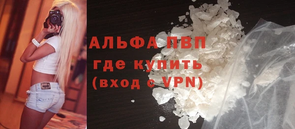 гашик Новокубанск