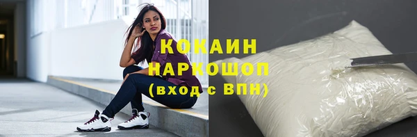 соль ск Новодвинск
