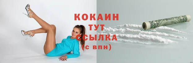 гашик Новокубанск