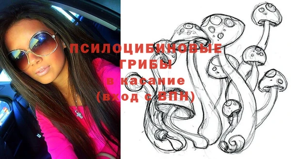 соль ск Новодвинск