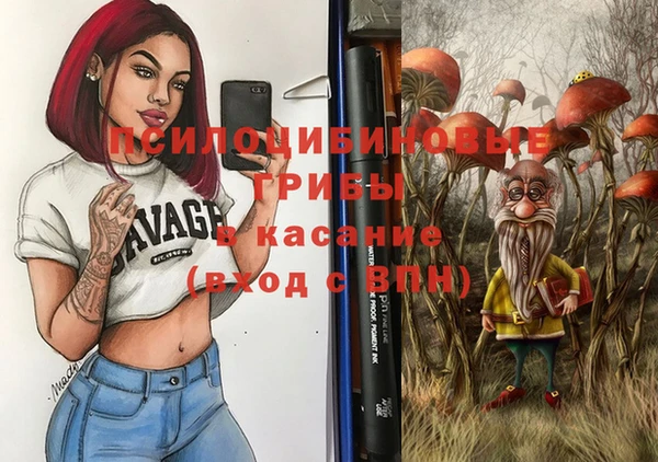 гашик Новокубанск