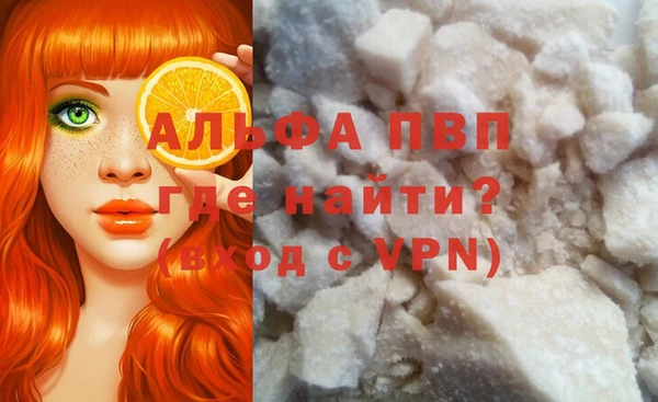 соль ск Новодвинск