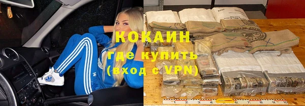гашик Новокубанск