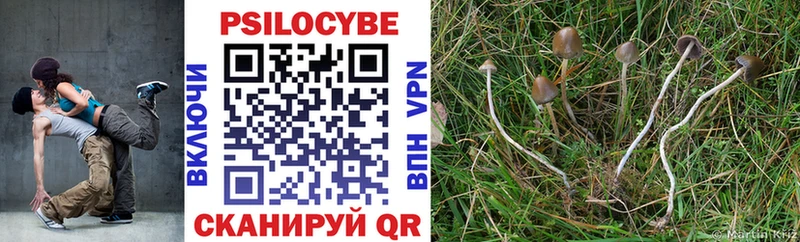 Псилоцибиновые грибы прущие грибы  закладка  Трёхгорный 